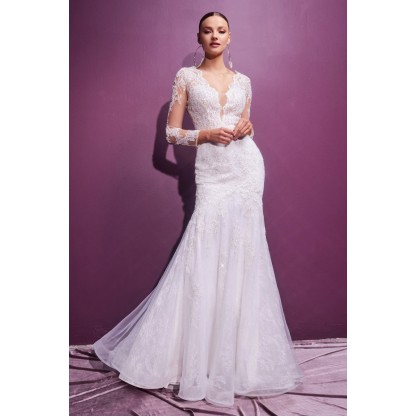 Long Sleeve Lace Bridal Gown By Cinderella Divine -CD951W