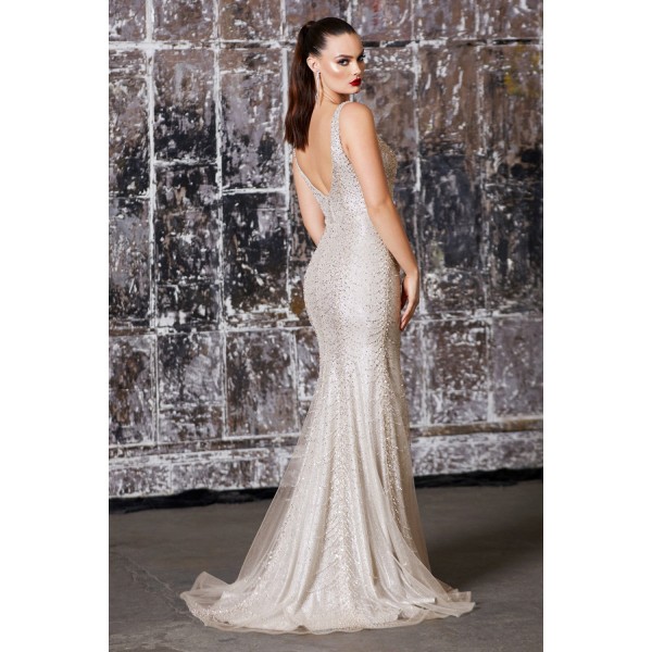 Slim Fit Gown With Beaded Details And Metallic Glitter Underlay by Cinderella Divine -CD905