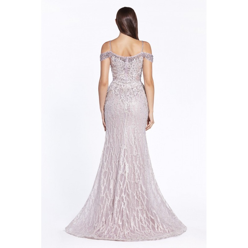 Off The Shoulder Fitted Gown With Lace Applique Print And Embellished Finish by Cinderella Divine -CD28