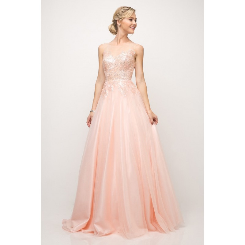 A-Line Tulle Gown With Lace Bodice And Illusion Neckline by Cinderella Divine -UE009
