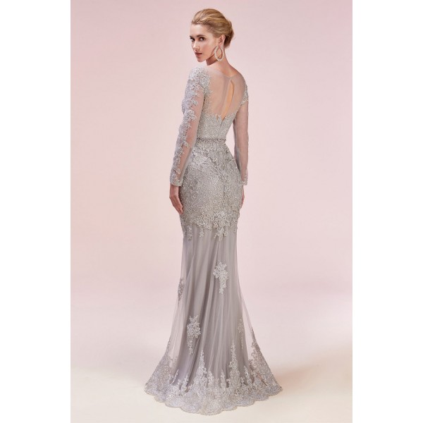Silverlight Lace Slv Gown by Andrea and Leo -A0540