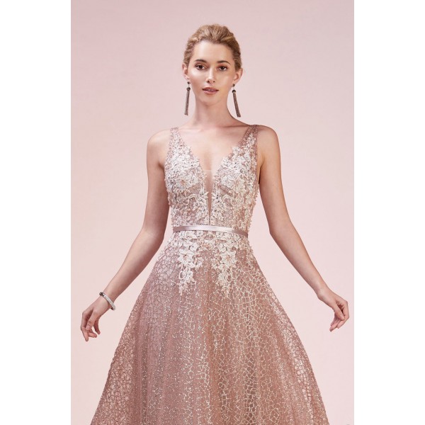 Glitterati V-Neck A-Line Gown With Lace Details Throughout The Bodice by Andrea and Leo -A0568