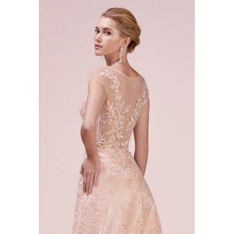 Fern Lace A-Line Ballgown With Illusion Bodice by Andrea and Leo -A0589