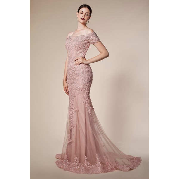 Elegant And Classic Lace Off The Shoulder Fit And Flare Gown by Andrea and Leo -A0587