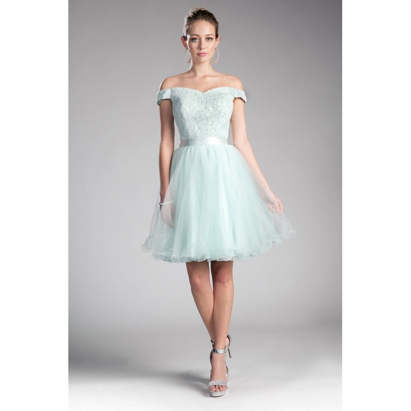 Off The Shoulder A-Line Short Dress With Lace Bodice And Layered Tulle Skirt by Cinderella Divine -1021