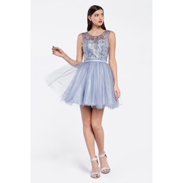 A-Line Tulle Short Dress With Glitter Detail And Illusion Neckline By Cinderella Divine -CD20
