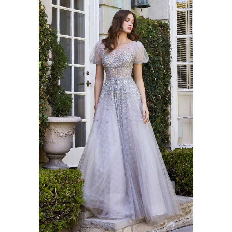 Embellished Beaded Short Sleeve Ball Gown by Cinderella Divine -B708