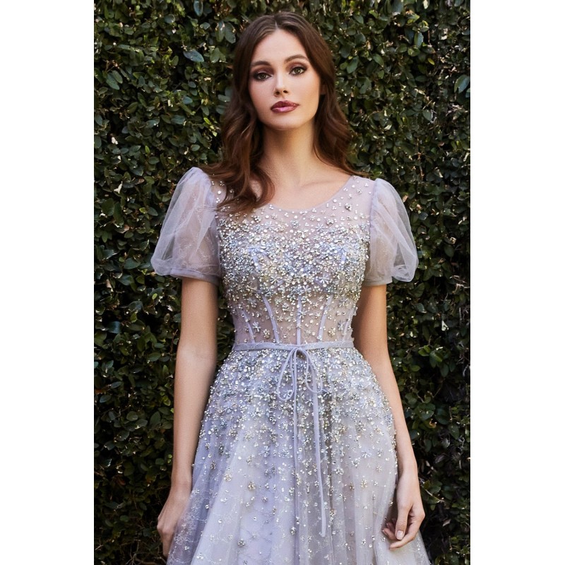Embellished Beaded Short Sleeve Ball Gown by Cinderella Divine -B708