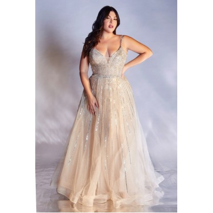 Curve Embellished Ball Gown By Cinderella Divine -CD940C