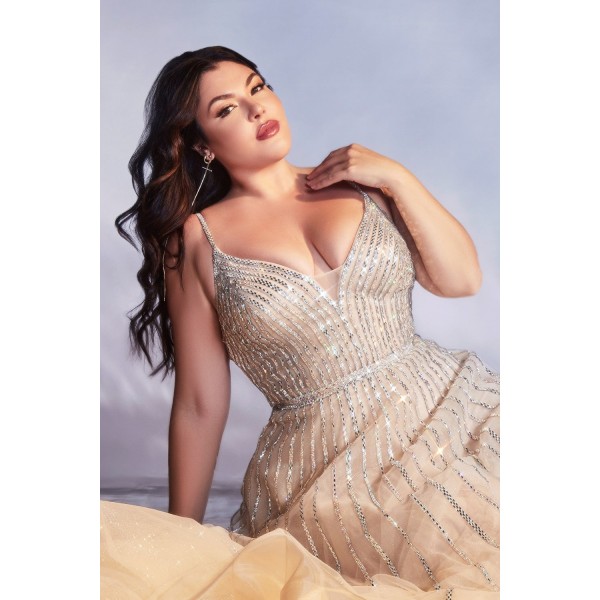 Curve Embellished Ball Gown By Cinderella Divine -CD940C