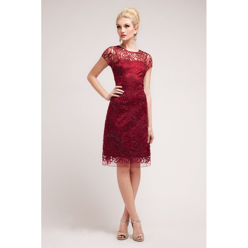 Short Lace Dress With Short Sleeves by Cinderella Divine -1921