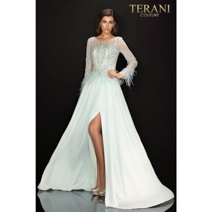 Terani Couture Long Sleeve Formal Gown 2011M2163
