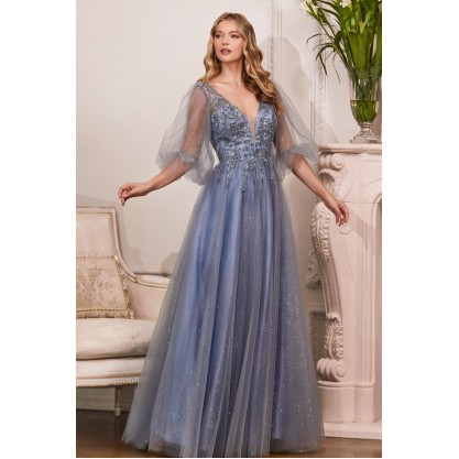Long Sleeve Mother of the Bride Long Tulle Dress
